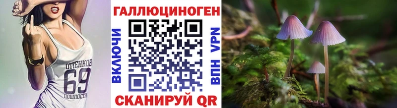 Псилоцибиновые грибы Psilocybine cubensis  Сенгилей 