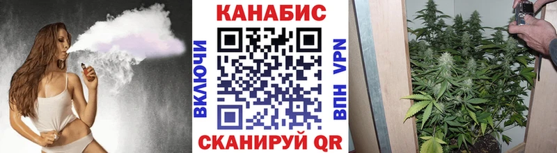 Канабис конопля Сенгилей